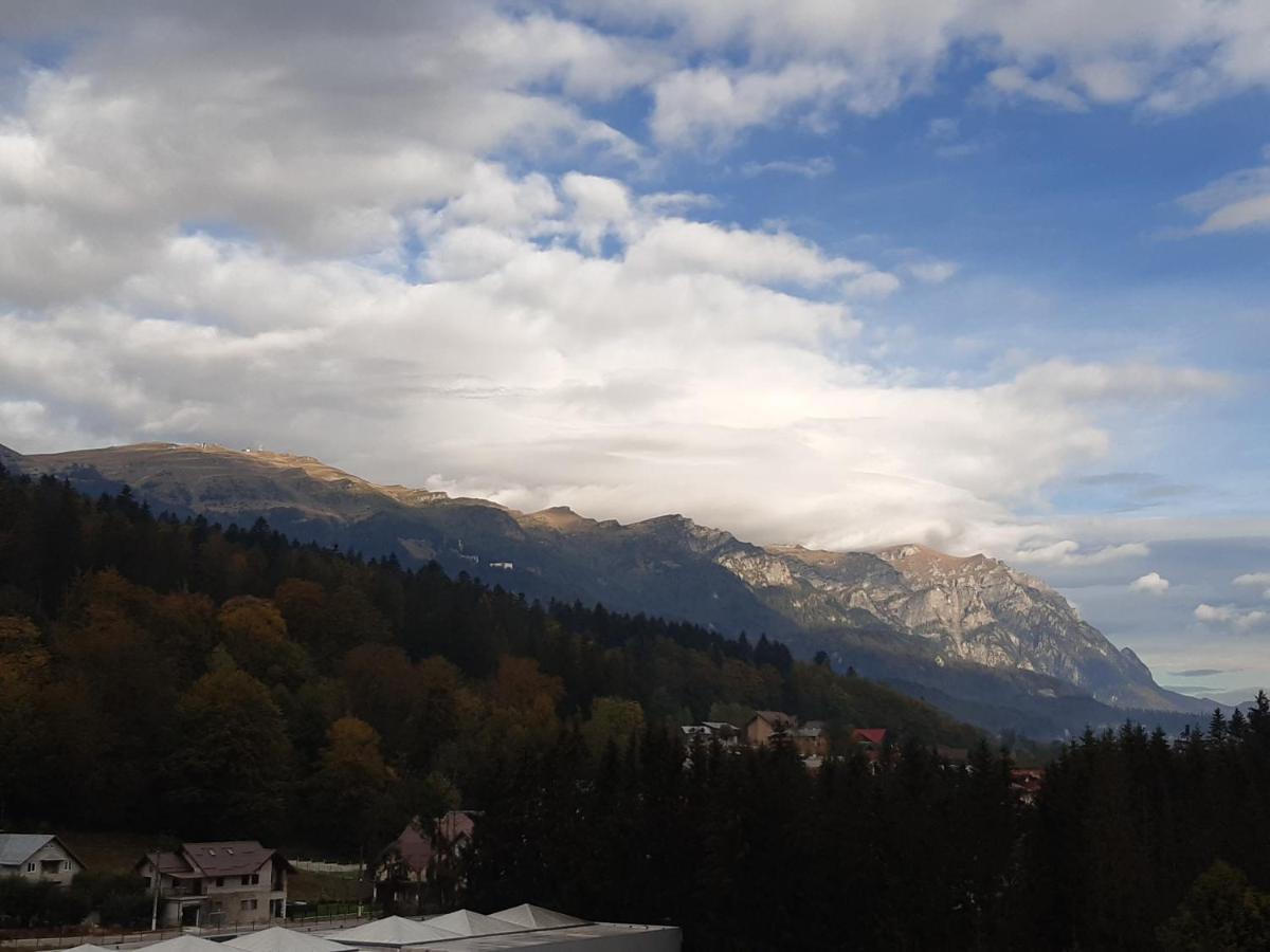 Bucegi View 39 - Colina Marei Appartement Sinaia Buitenkant foto