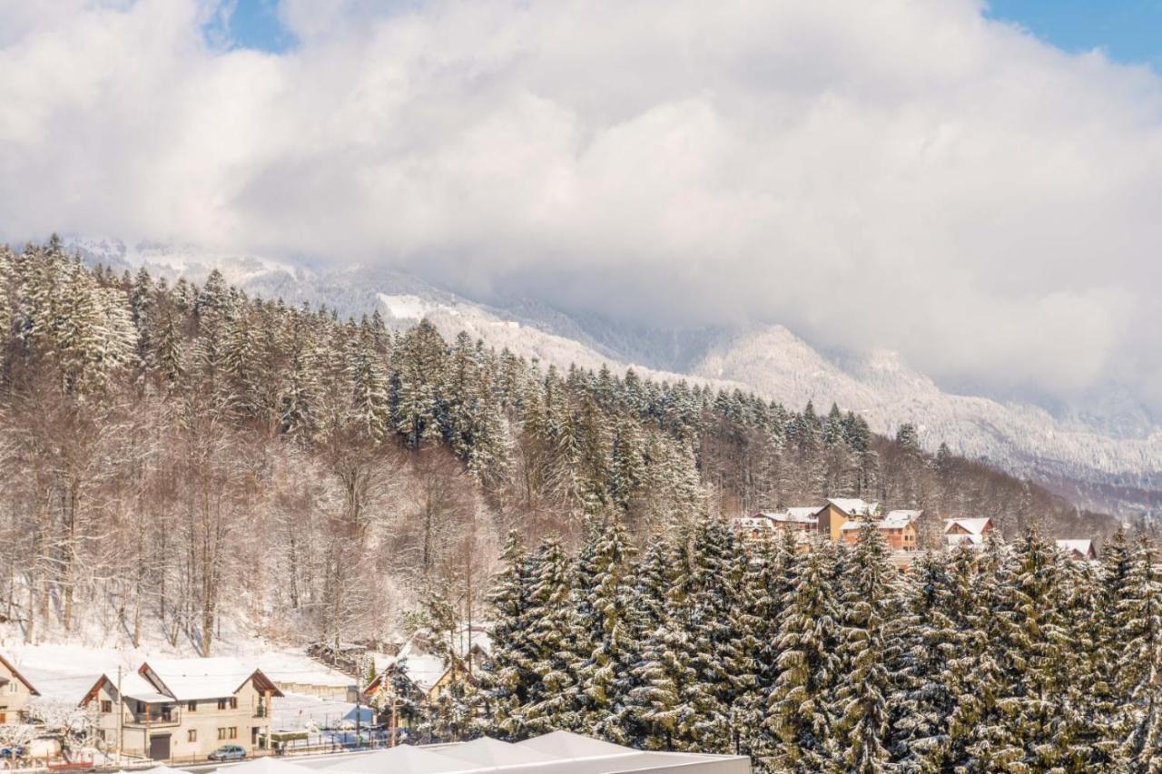 Bucegi View 39 - Colina Marei Appartement Sinaia Buitenkant foto