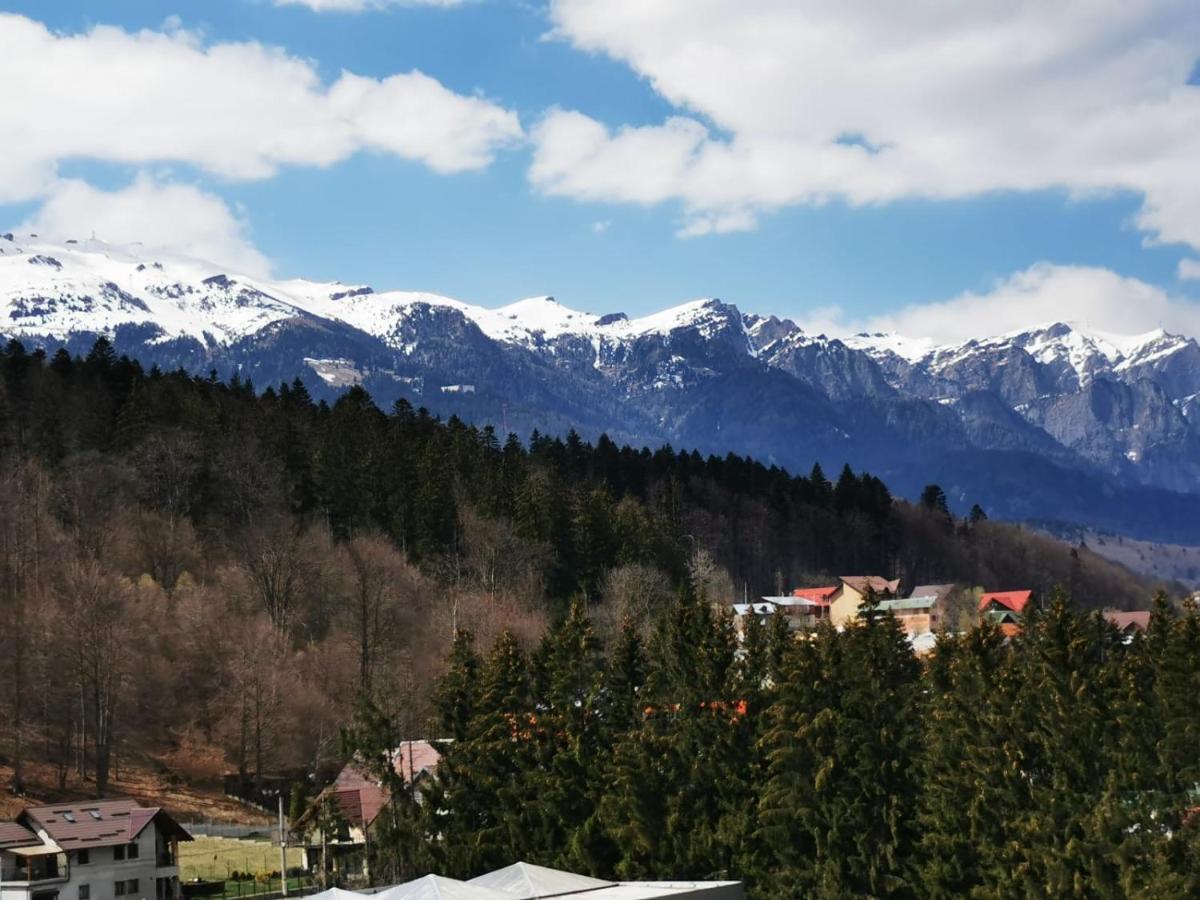 Bucegi View 39 - Colina Marei Appartement Sinaia Buitenkant foto