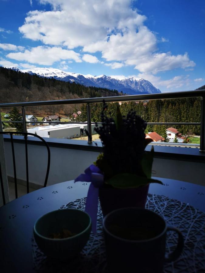 Bucegi View 39 - Colina Marei Appartement Sinaia Buitenkant foto